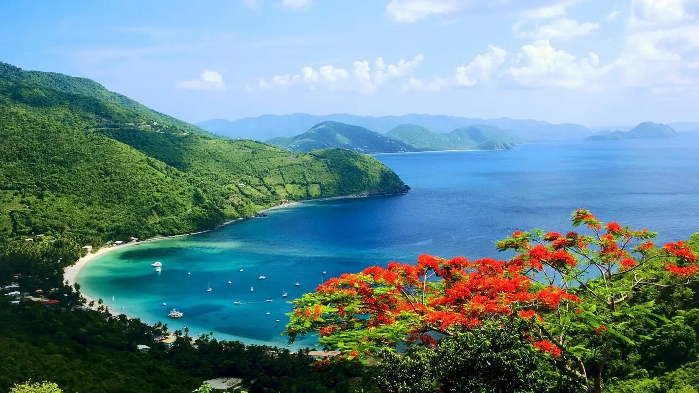高性能精密